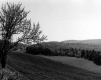 Farm Field in Spring