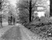 Rural Road in Autumn