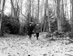 Hunters in Forest