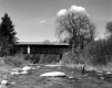Fisherman Near Covered Bridge