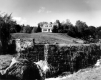 House Near Stream