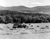Farmer Haying Field