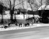 Ice Skaters on River