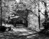 Rural Road in Autumn