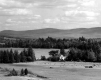 Hay Field on Caspian Lake