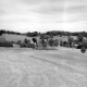 Bailey Farm and hay fields