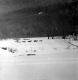 Dogsled Race