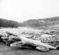 Ice Jam in River Valley
