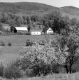 Farm in Spring