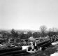 Timber Piles at Mill