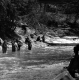 Spring Fishing