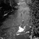 Fishing in Spring