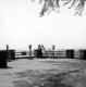 Viewing Machines at Battery Street Park