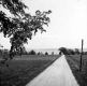 Rural Road Through Pastures
