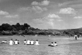 Spectators at Baseball Game