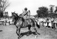 Winner of Vermont 100 mile Horse Ride