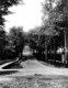 Western Avenue in Summer