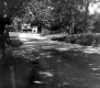 House and Trees