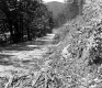 Debris Along Rural Road