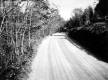 Rural Road in Fall