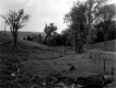 Stream in Pasture