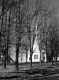 Church Behind Trees