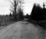 Rural Road Past Pasture