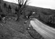 Rural Dirt Road