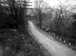 Stream Along Rural Road