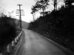 Curve in Rural Road