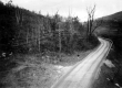 Bird's Eye View of Rural Road