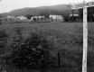 Housing Development