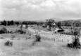 Buildings and Farmland