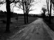 Rural Road in Fall