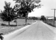 Rural Road in Summer