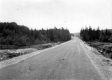 Rural Road with Forests