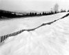 Snow Covered Fences Along Route 58