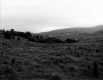 Cleared Valley