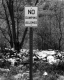 Illegal Dump Along Route 104