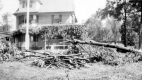 Hurricane Damage
