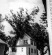 Tree on House (Hurricane)