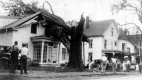 Tree Damage, Hurricane of 1938