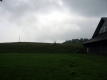 Empty Pasture Near Breeding Barn