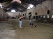 Woman and Man (Pretending to be Horse) in Breeding Barn