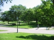 Green Facing East