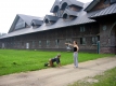 Student With Horse Replacement (Breeding Barn, Shelburne Farms)