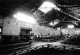 Breeding Barn with Cows