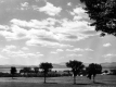 View From Brick House (Shelburne Farms)