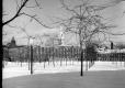 Campus Greenspace near Votey