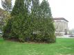 UVM Campus Green